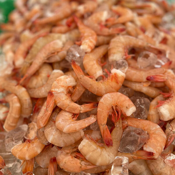 Jumbo-Tiger-shrimp